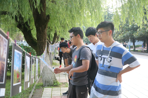 图片8 图片8
