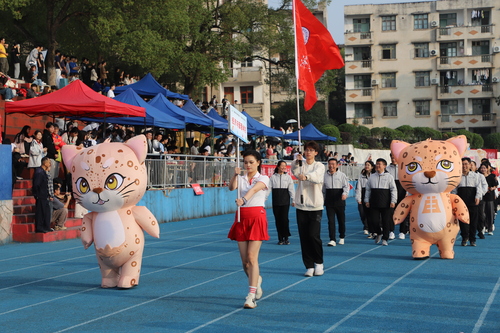 IMG_7236 IMG_7236
