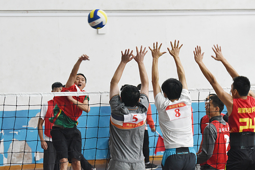 DSC_3939x DSC_3939x
