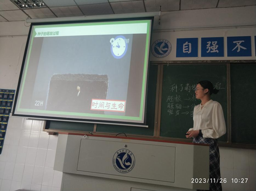 图片1 图片1