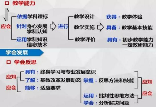 图片19