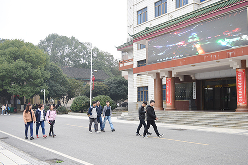 DSC_3377x DSC_3377x
