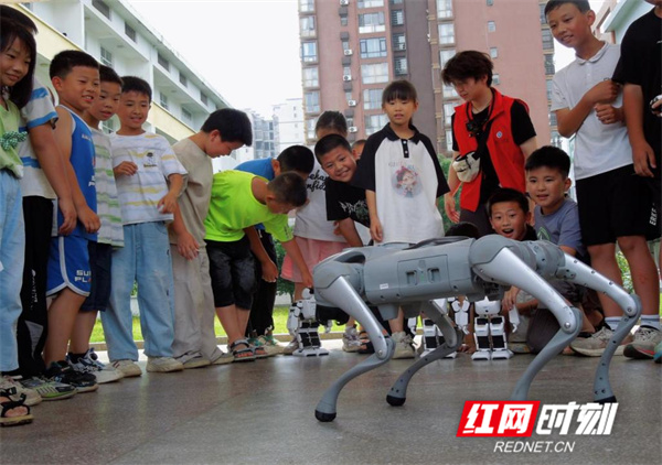 微信图片_20260529161116_773_425.jpg 微信图片_20260529161116_773_425.jpg