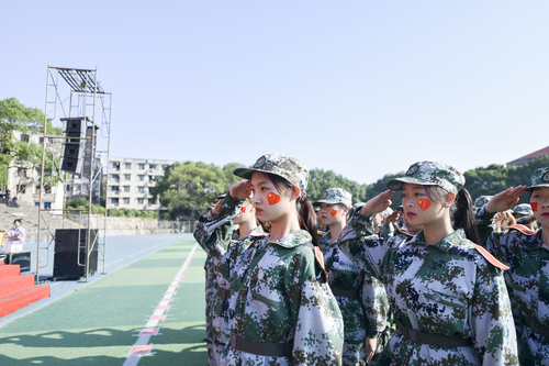 DSC_8381 DSC_8381